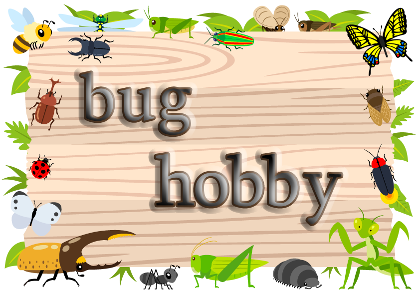 Bug Hobby 2 お金をかけないミルワームの飼育をはじめました 床材は 餌は ゲージは 特情